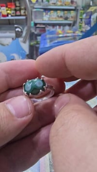 سليماني • اخضر • قياس ١٨