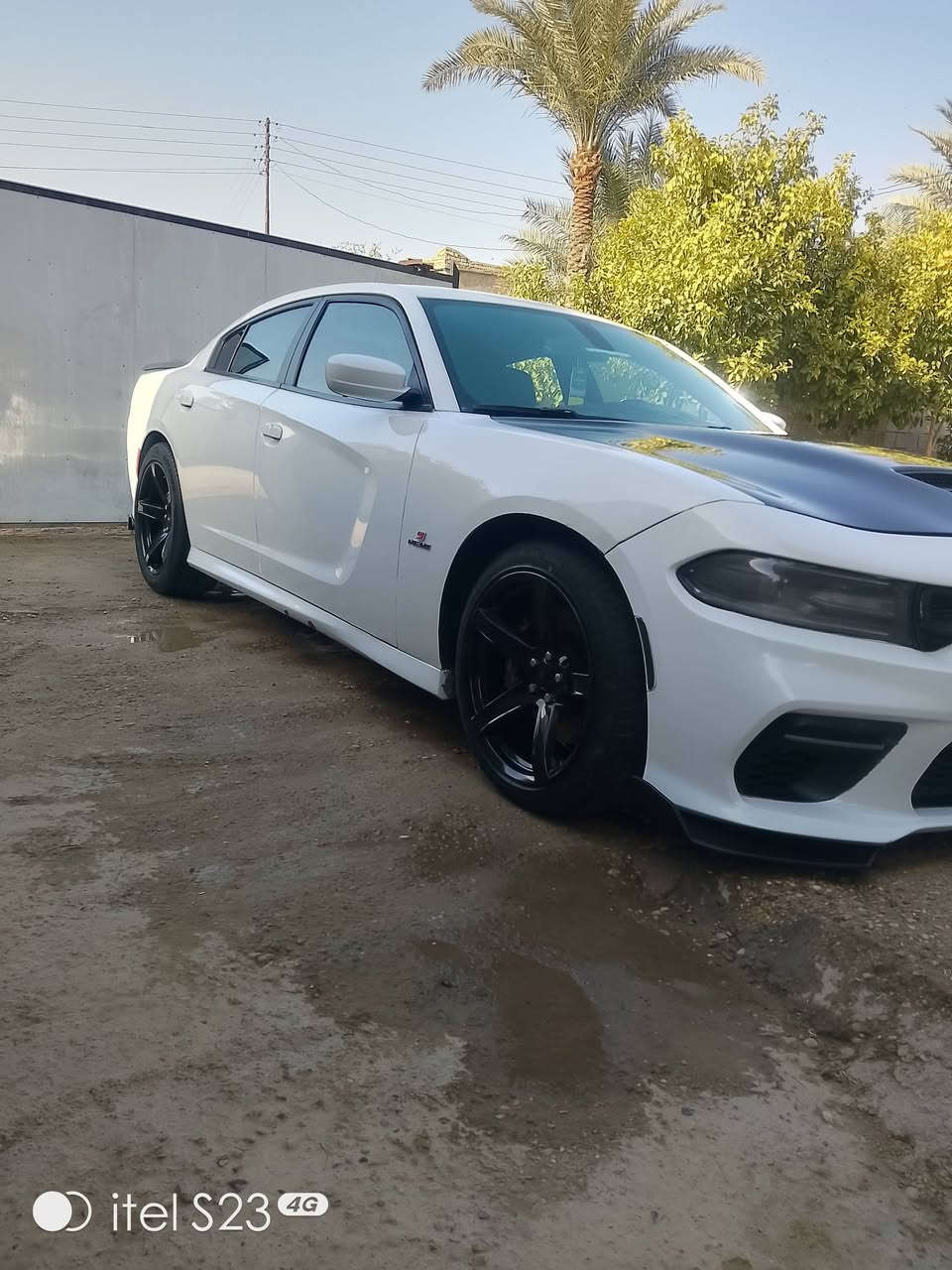 اسكات باك موديل 21 ماشية 33ميل 6400 مواصفات كراسي حضن تدفئة وتبريد استيرن هيتر بصمة ابواب وتشغيل تشغيل عن بعد مكينة وكير جدد حدادية جديده تايرات الامامي جدد خلفي وسط تعتيم مرايات دخول ذكي حساسات صندوك بصمة برمجة وتفريغ عليها دهن جديد للمكينة وللكير سيارة جاهزة وخير من الله وبالعافية على الياخذها.... الله شاهد محتاج واريد ابيعها الشراي يتصل وبيك خير وتدلل والسعر مناسب تحياتي للجميع 🌹 *********** بي واتساب وتدللون
