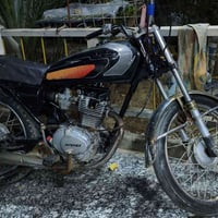 ايراني • ٣٢٥ سي سي • قرنه