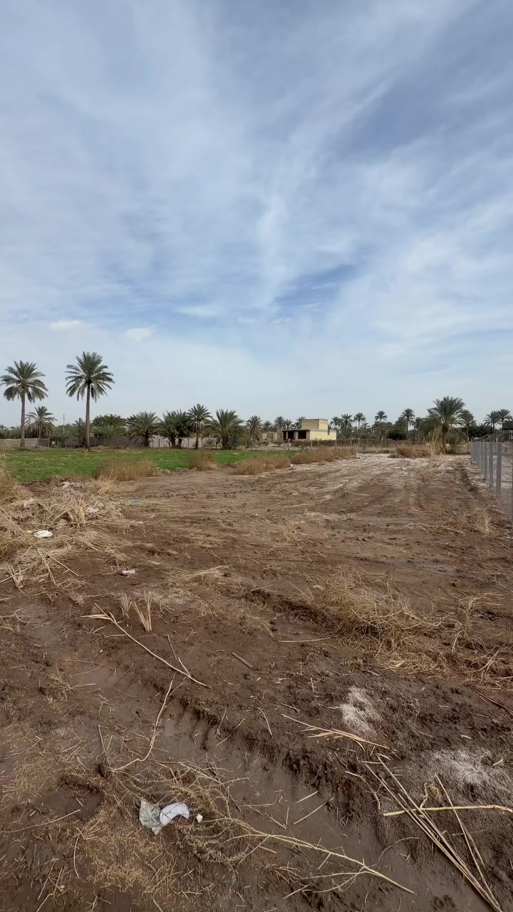 مساحه 1250متر قريبه عن سريع حله كيش وجسر الانظباط وتبعد عن الجدول 100متر 
***********
