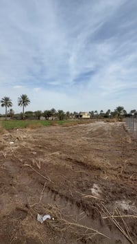 جسر الانظباط • ١٢٥٠م • قريبة سريع حله كيش