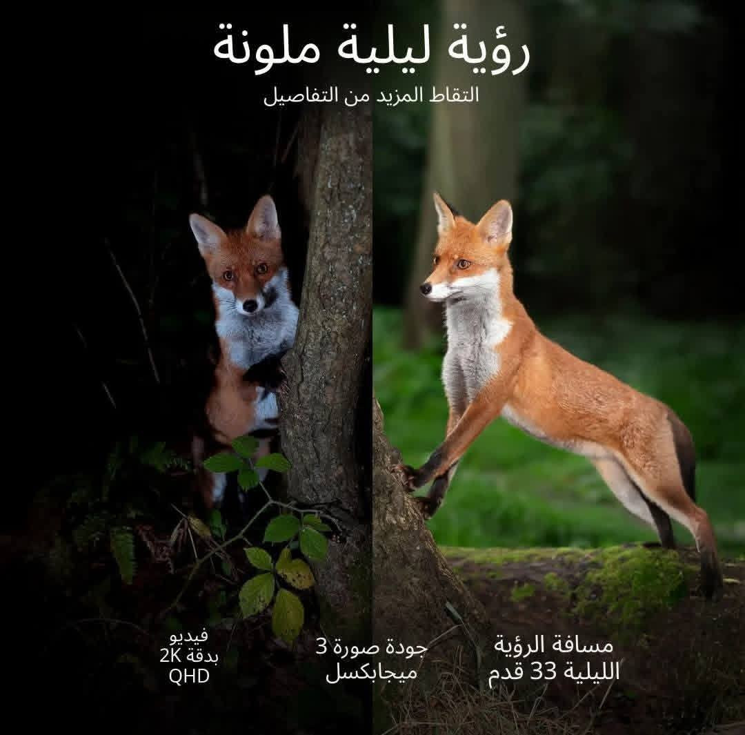 مزرعتك بأمان!🏜
كاميرا مراقبة 4G تعمل بشريحة سيم كارت – الحل الأمثل للمزارع والبساتين 📷🌾

تعبت من السرقة أو عدم متابعة المزرعة؟
هاي الكاميرا راح تريحك 👌
كاميرا ZY-G1 من ieGeek هي الحل الأمثل ☑️

✅ تشتغل بشريحة سيم كارت 4G:
ما تحتاج واي فاي ❌
تشتغل بأي مكان بيه تغطية شبكة 📶

☀️ بطارية + طاقة شمسية: 
تنشحن بنفسها وما تحتاج كهرباء نهائياً 
مناسبة للأماكن البعيدة 🌳
تحتوي على بطاريات 10.000 ملي امبير مدمجة قابلة لإعادة الشحن نفسها بنفسها. 

🎥 تصوير واضح نهار وليل: 
رؤية ليلية ملونة قوية 🌙
تراقب كل شي حتى بالظلام

🔄 تدوير 360 درجة: 
تتحكم بالكاميرا من الموبايل
تشوف كل زوايا الأرض أو البستان

🚨 تنبيه عند الحركة: 
إنذار حركة يوصل إلك على الموبايل فوراً
أول ما يصير تحرك توصلك رسالة تبقى مطمئن وانت بعيد 📱

💧 مقاومة للمطر والغبار تتحمل الظروف: 
مصممة للاستخدام الخارجي IP66 ☑️
حر☀️ – مطر🌧️ – غبار🌪️
مصممة للحقول والمزارع 🌧️🌞

📍 👨‍🌾 مثالية للمستودعات والحظائر والمزارع و الحقول وبيوت ومواقع البناء وغيرها. حتى لو كنت تعيش بعيدًا عن هذه الأماكن، لا يزال بإمكانك مشاهدة ما يحدث فيها✅

📦 سهولة تركيب – بدون تمديدات
تدعم خطوط(ZAIN _ اثير _ اسياسيل _ كورك _ واست لينك)
_____________

الـسـعـر عـرض 60.000 الـف فـقـط ☑️
🔹اللوح الشمسي مرفق داخل العلبة مع كاميرا

📩 راسلنا الآن والكمية محدودة. 
يـتـوفـر خـدمـة تــوصـيـل لجميع محافظات الـعــراق  🚛          
               للحـجـز مـراسـلـة الـصـفـحـة 📩 

#كاميرا #حماية #مراقبة_طفل #العراق #بغداد #وايفاي #عروض #أسعار #كامرا_فورجي #4G #SIM_CARD #شريحة #سيمكارت #كاميرا360 #تصوير #مزرعة #حقل


**إذا كنت صاحب هذا الإعلان وتريد حذفه لأي سبب، رجاءا أرسل رسالة إلى الدعم الفني**