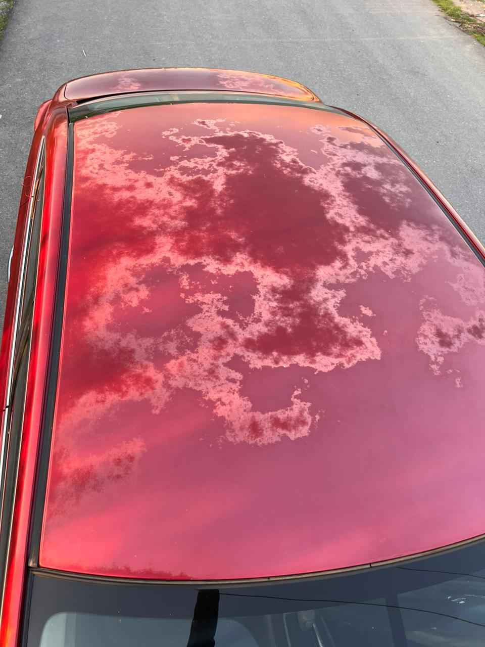 🚗 للبيع نيسان سنترا 2014

السيارة نظيفة جداً، إيد وحدة من الشراء.
الماكينة والجير ممتاز جدا 💯 بدون صبغ وبدون أي دعم الرقم جديد، 💰 السعر 98 ورقة – قابل للتفاوض للجادين فقط سيارة جاهزة للاستخدام اليومي وما تحتاج أي صرف *********** دهوك, العراق
