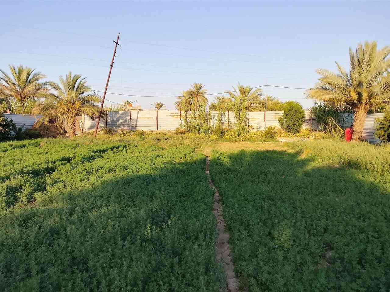ارض للبيع في حي الحكيم المساحه دونم مع بيت بناء بلوك مساحه ٢٠٠م تقع ع شارعين شارع جهه مدرسه شهداء الطليعه وشارع جهه الري الارض حاليا مزروعه جت يتوفر ماء اساله وتبليط وكهرباء
@الجميع ***********
