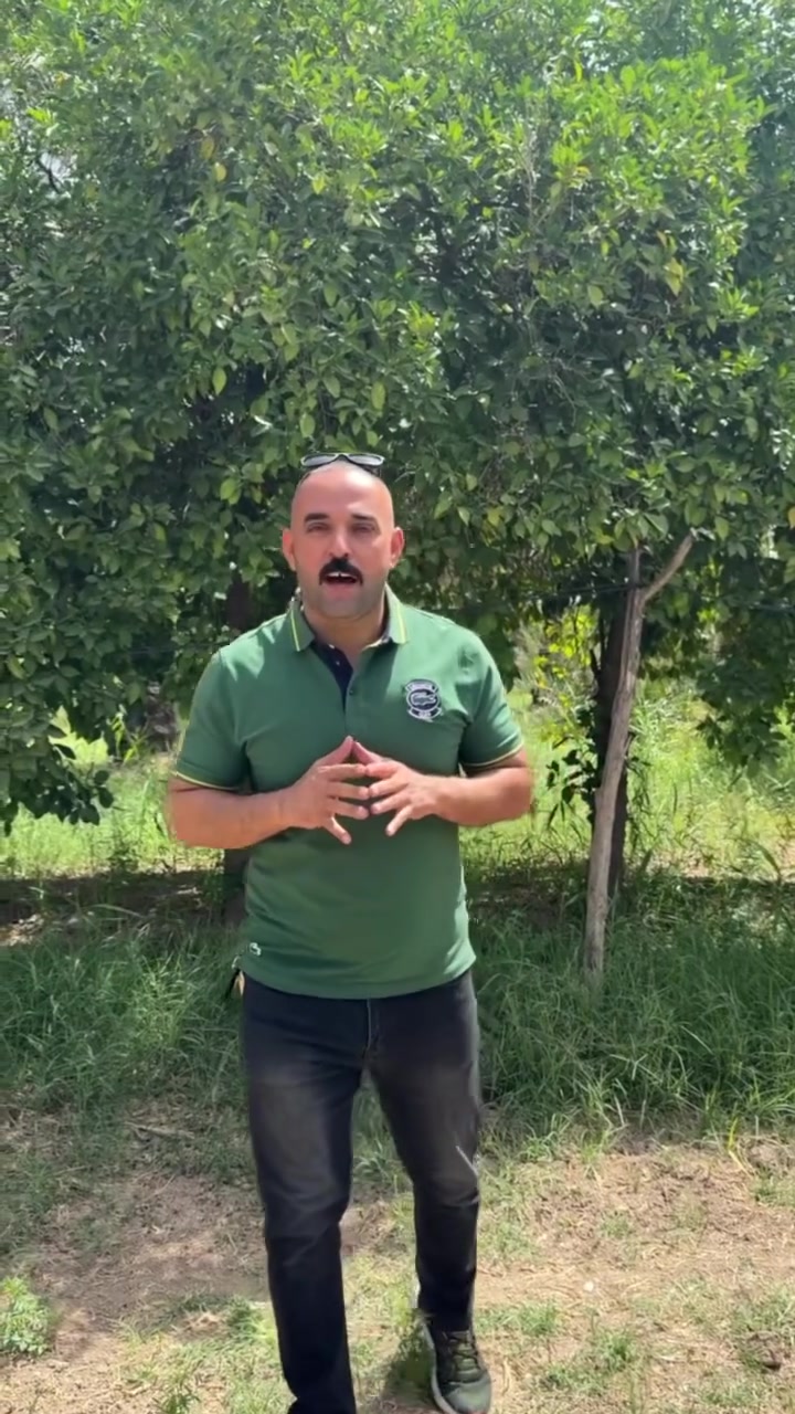 👍أعلان رقم(184)
🙏بستان ١٧ دونم  في موقع مميز وهادء مثل ما موضح بالتصوير للبيع 👍

🙏الوجه(١٠٠م )  النزال  (٤٠٠م)  جنس العقار زراعي سند(٢٥) 
👍الخدمات المتوفره  كهرباء وماء سقي    وتبليط 
🛣️ العنوان  واسط الصويره  منطقه الرحمانيه بين الرد الأول والثاني 🛣️
🙏السعر تجدوه داخل التعليقات  🙏
للأستفسار
 مازن 👈***********
ثامر 👈٣٣٦٩٨٦٩٦ ٠٧٧
أو زيارتنا الى المكتب العنوان واسط الصويره قرب جسر الصويره مقابل نزله المستوصف مكتب مازن الزبيدي للعقار🙋‍♂️
#مازن_الزبيدي
