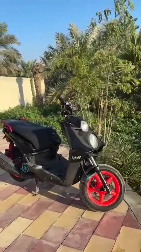 سلام عليكم سكنس جبلي للبيع مكاني البصرة الحيانية برغي تجاري مابيها كلشي بلادي استفسار***********واتساب
