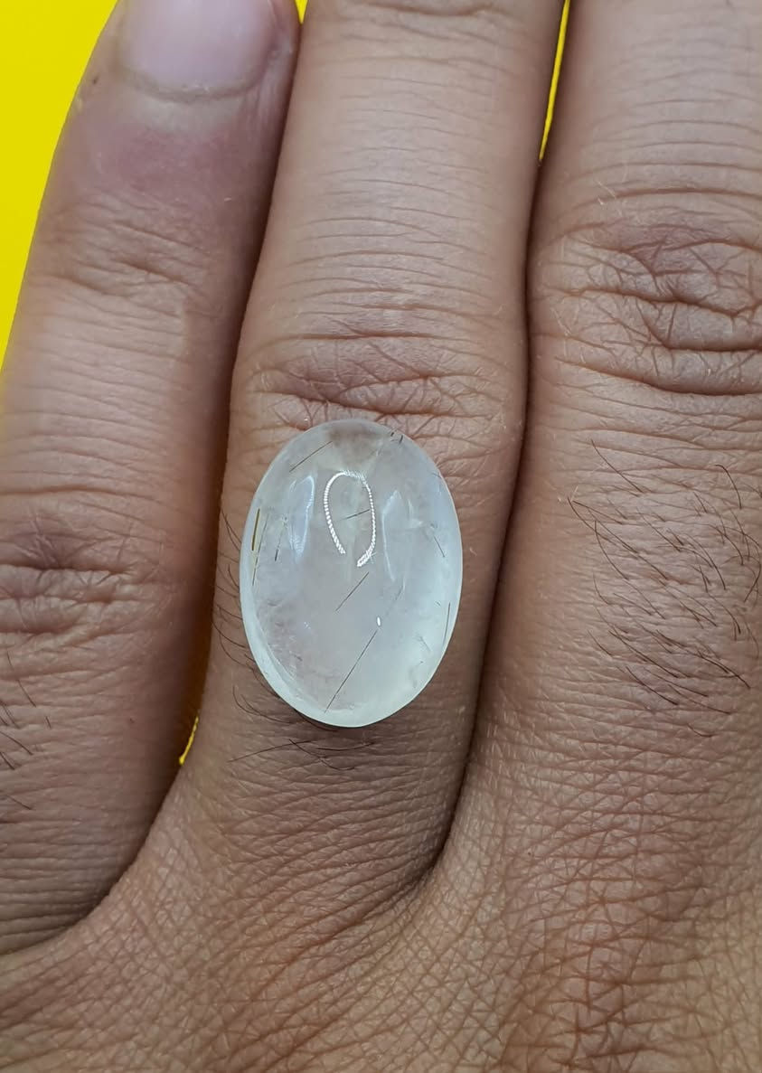 ماشاءالله…در ابو الشعر نجفي أصلي بالذمة من أرض النجف للبيع بسعر 75 ألف
***********
