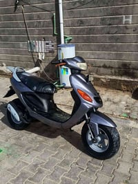 دولفين • شغاله • كهربائيات