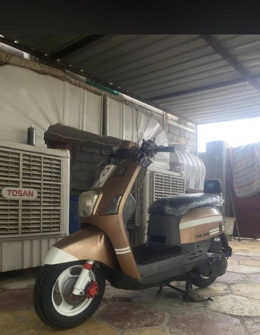 من رخصت الادمن
بوليسي كفاله عامه نقص بس سلف 

كفرات ختم واحد وي المكينه 

مكاني سوك شيوخ كرمه بني سعيد 

سعر 750 

***********
