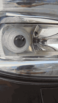 بوليش ألماني • رخصة الادمنيه • الديوانية الدغارة