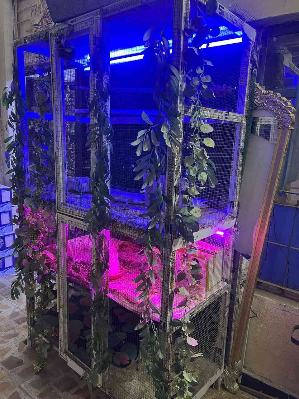 قفص للبيع الطول مترين و 20 العرض متر ونص  يرهم جميع الطيور مكاني الحيانيه سعر100


**إذا كنت صاحب هذا الإعلان وتريد حذفه لأي سبب، رجاءا أرسل رسالة إلى الدعم الفني**