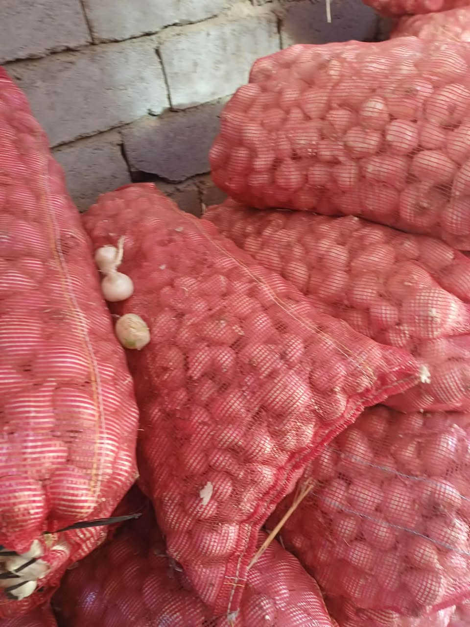 خوين بصل للبيع اتعهد بالبصل شوملي حلة
 ‭***********‬
