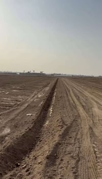 ٤دونم • زراعي سند٢٥ • ابو غريب السميلات