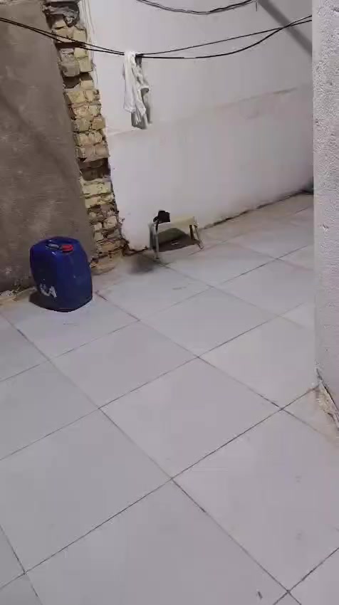 بيت للبيع بناء حديث
طابقين 
الأول كامل رباط وكونكريت والثاني واصل للسكف 
باقي التفاصيل عل خاص 
سوق الشيوخ / الدجين ٢
***********واتساب مفتوح
