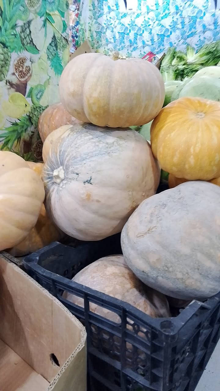🥒🌽 وصل الجديد!

الأقطين الطازج والذرة الحلوة وصلن اليوم، فرش ومن أفضل النوعيات. 😍

لا تفوتكم... الكمية محدودة، والطلب متوفر من هسه.
راسلونا بالخاص، والتوصيل لحد باب البيت. 🚚💚
‏‪***********‬‏
#خضار_وفواكه #خضار_طازجة #فواكه_طازجة #ذرة #اقطين #كوسة #توصيل #توصيل_سريع #توصيل_ديالى #بعقوبة #تسوق #عروض #محاصيل_طازجة #يومي_فرش #اطلب_هسه 🌽🥒
