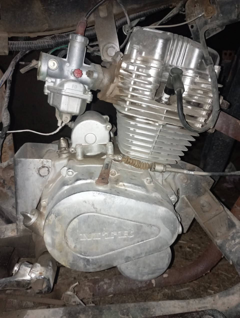 ***********
ستوته امتيار للبيع مكان بابل الحمزه الغربي الغزالي غير متواجد عالفيس اتصل علخط السعر 450وبيها مجال
