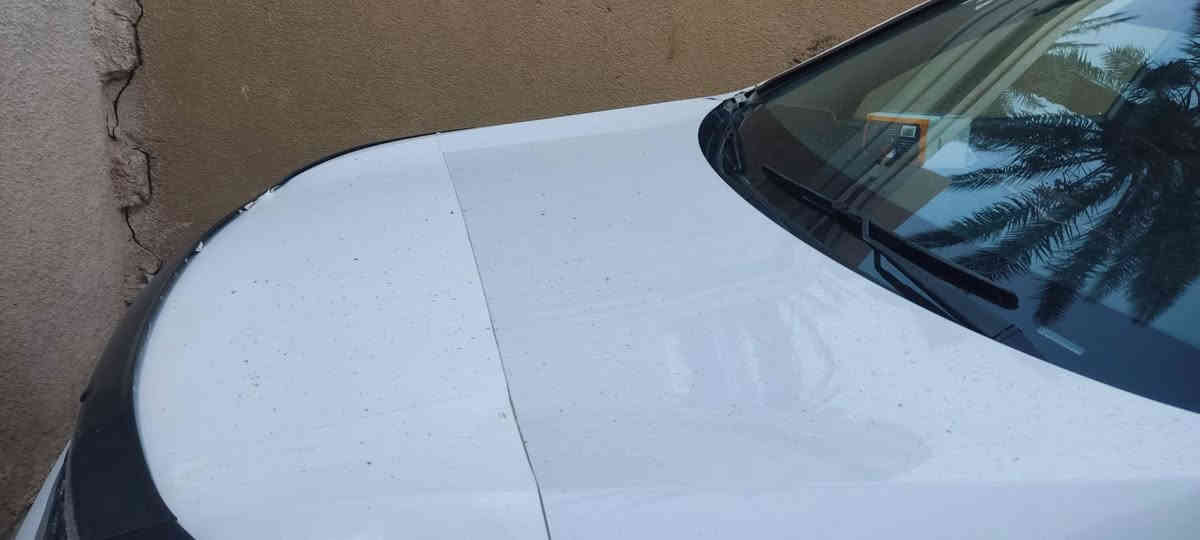 سورينتو أمريكي داخله بدون حادث كلين 2014 محرك 2400 جيدي اي بيها خشم الجاملغ والبنيد طخه عل بارد بيها منضومة غاز يعني بيها كشطات صبغ بداية القماره وبدايية البنيد رقمها كربلاء الماني لونهاابيض سعرها145ورقه وبها مجال للشراي الرقم***********
