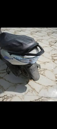 شغاله • سلف • واتساب