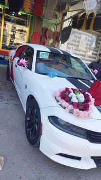 جارجر بوليسي • ٢٠١٩ • تحتاج حدادية