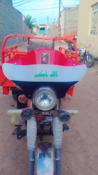 ستوته فرس  وأوراق 16للبيع السعر خاص 07752043430
