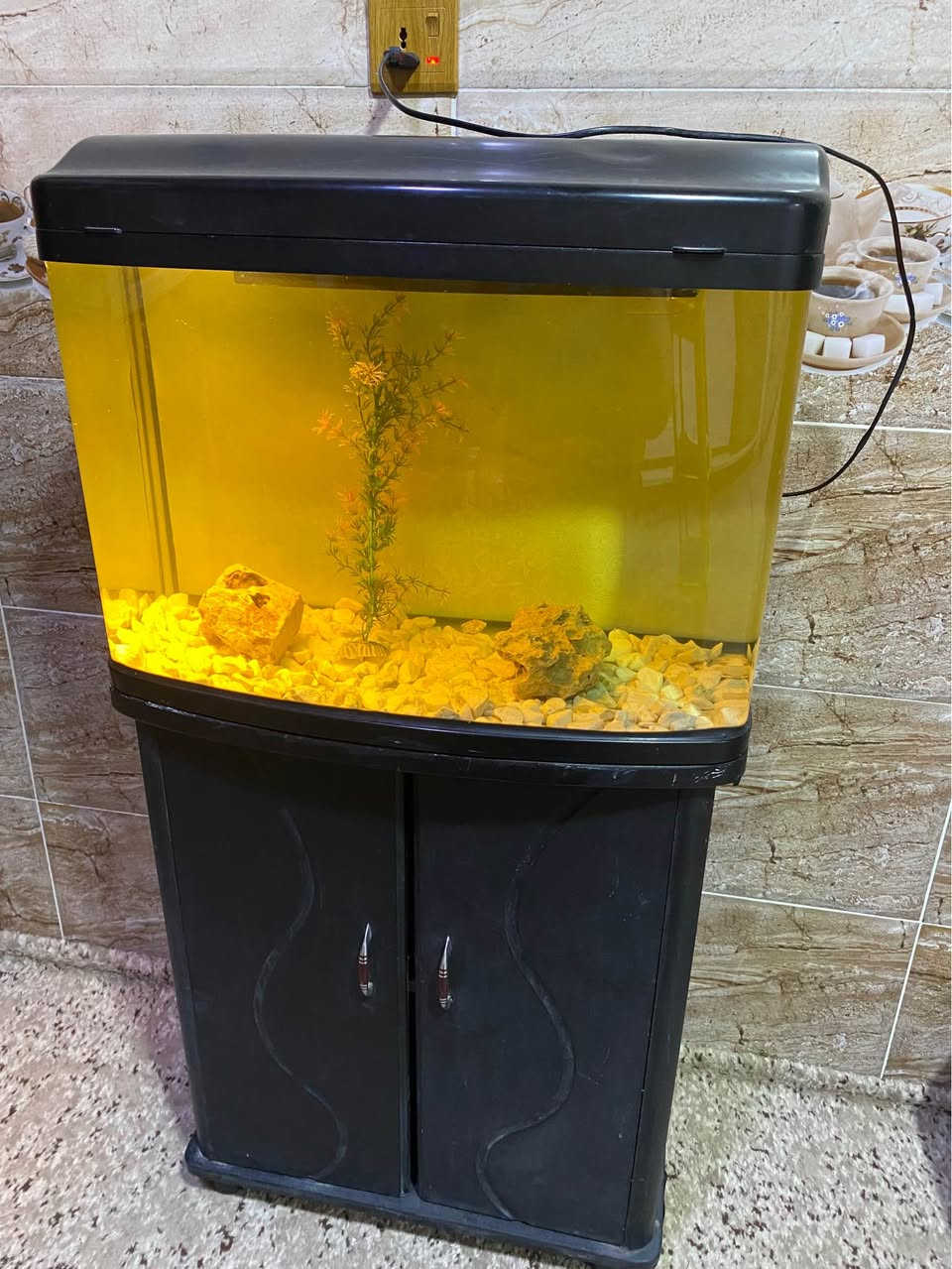 حةوزى ماسى قياسى ٦٠ سم بة ميزو دوو بةردى كةورة و بةردى بجوك و گيايةك بو فروشتن لة سليمانى السليمانية, العراق


**إذا كنت صاحب هذا الإعلان وتريد حذفه لأي سبب، رجاءا أرسل رسالة إلى الدعم الفني**