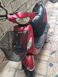 اكزز • فحل • جديده