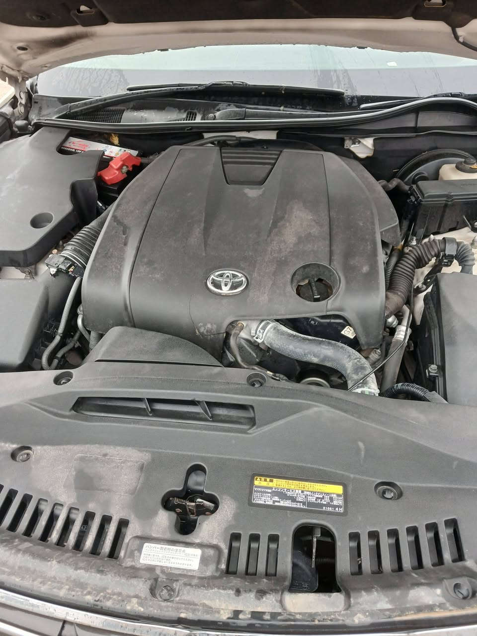 سلام عليكم سيارة كراون دخول جديد مديل  《 2014》دواخل بيجي ابيض صدفي كفاله ضربه وكصه ومكينه وكير فقط مكينه 6 سلندر بانزين ادوات ادوات ادوات عنوان بصره السعر 155 بيها مجال بسيط للشراي رقمي ***********
