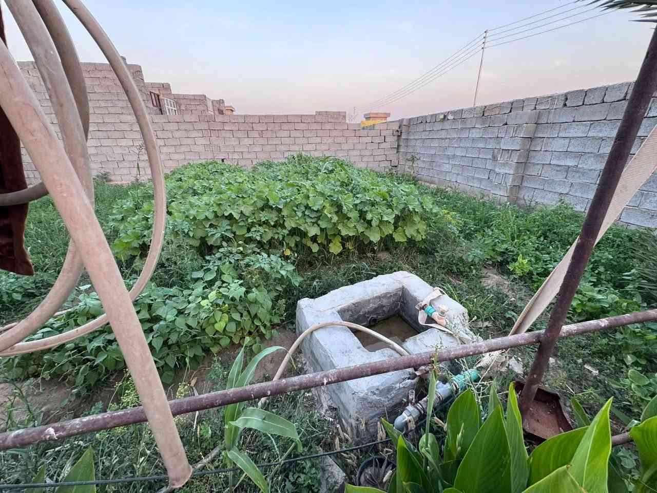 سلام عليكم بيت للبيع 3غرف نوم وصاله وستقبال ومطبخ وكراج سيارات جبير شارع 14البيت ركن ول  وبيت ااثاني  هيكل مساحه 200 ول قطعه من ضمن البيت هم 200متر   للبيع  مكان شهابي الكيفيه الوله رقم التلفون للستفسار ***********
