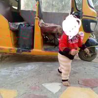 تكتك • ٢٠٢٠ • اوراق