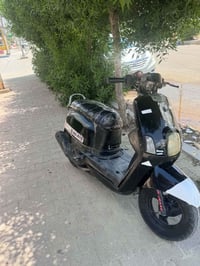 بوليس • ٢٠٠٧ • نقص اضويه