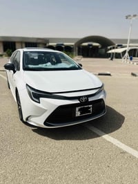 كورلا هايبرد • ٢٠٢٤ • رقم كربلاء