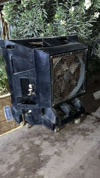 امبراده شغاله لبيع 07702717848