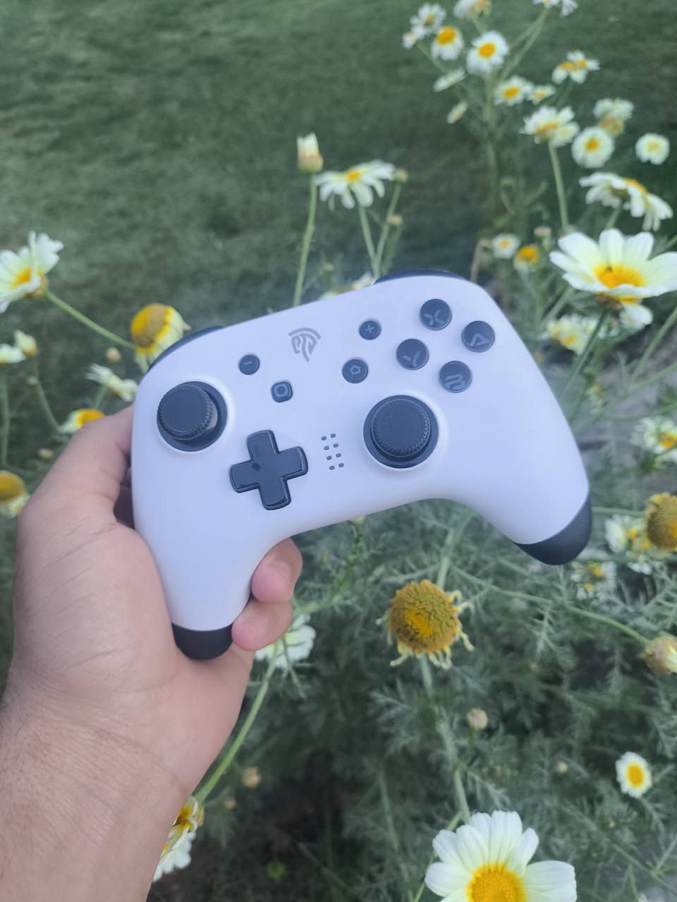 جوستكات 2 للبيع السعر 50 الف


**إذا كنت صاحب هذا الإعلان وتريد حذفه لأي سبب، رجاءا أرسل رسالة إلى الدعم الفني**