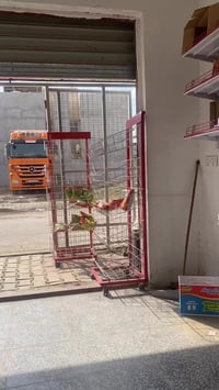 عارضات عامودية • رفوف • سلات