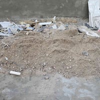 سبيس • ابلاش • ماجدية
