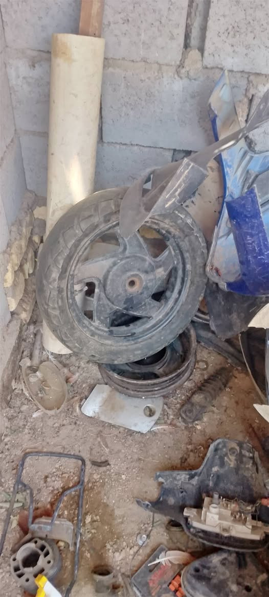 السلام عليكم اخوتي غراض تفصيخ بيجي دولفين منغولي فحل بطه منغولي نثيه للبيع تريد كلهن تريد ابيعك قطع كله الاصلي شرط الشراي يجي خاص رقمي للتواصل ***********
