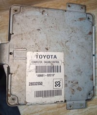 عقل كورلا • شغال • مفحوص