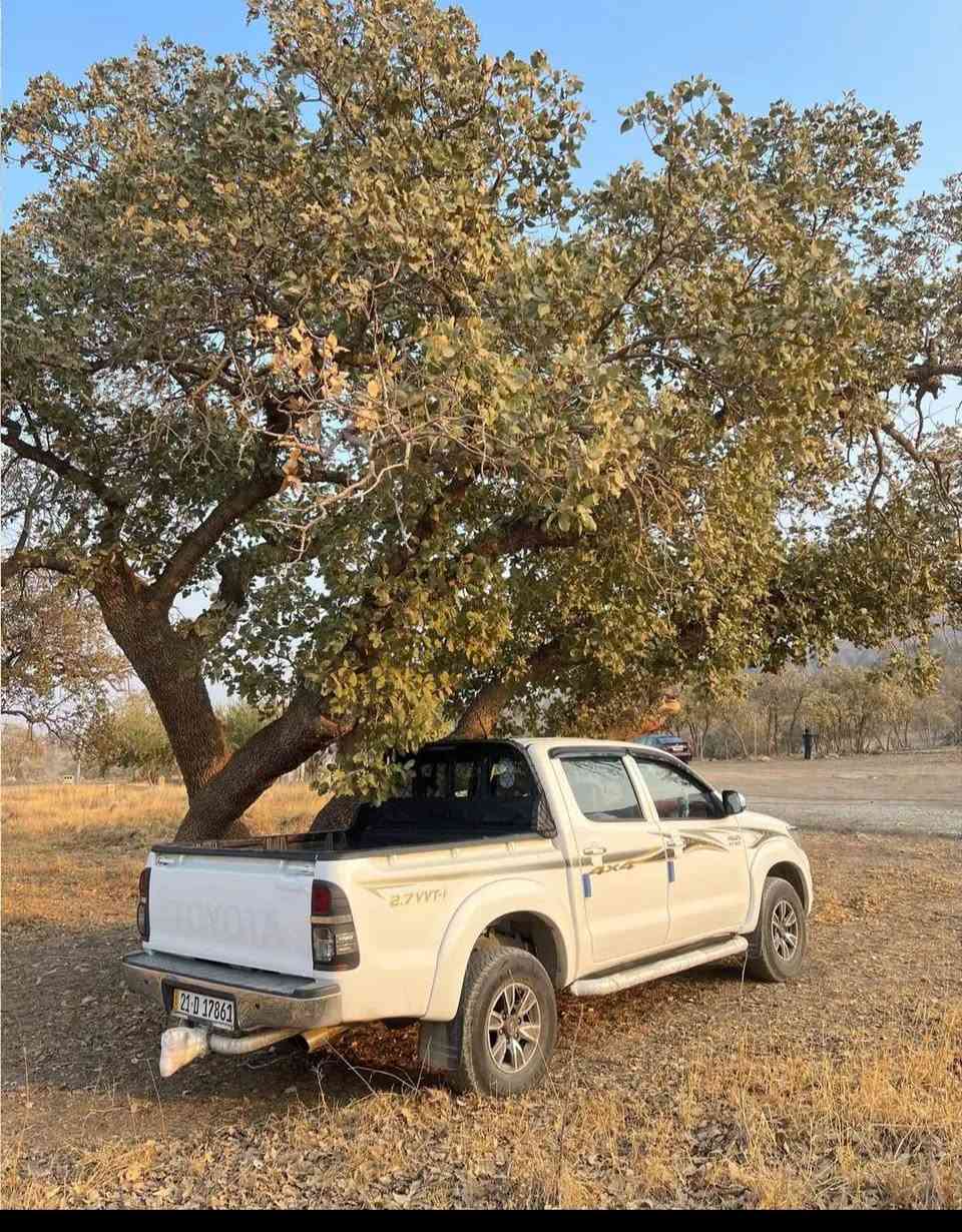 بۆ فرۆشتن TOYOTA HILUX 2015 کەناسرەوە بە مەرزیە سەید نەهرۆ بتڵە سەیارەکە هەموو گیانی بەشەرتە مەکینەی نەژراوەتەوە بەشەرتە سعری داوای 253 گڵاو مەعامەلە ئەکەمبۆ زانیاری کاملی سەیارەکە چات بکە یان تەلەفوم بۆ ئەو ڕەقەمە بکە ***********♥️ أربيل, العراق
