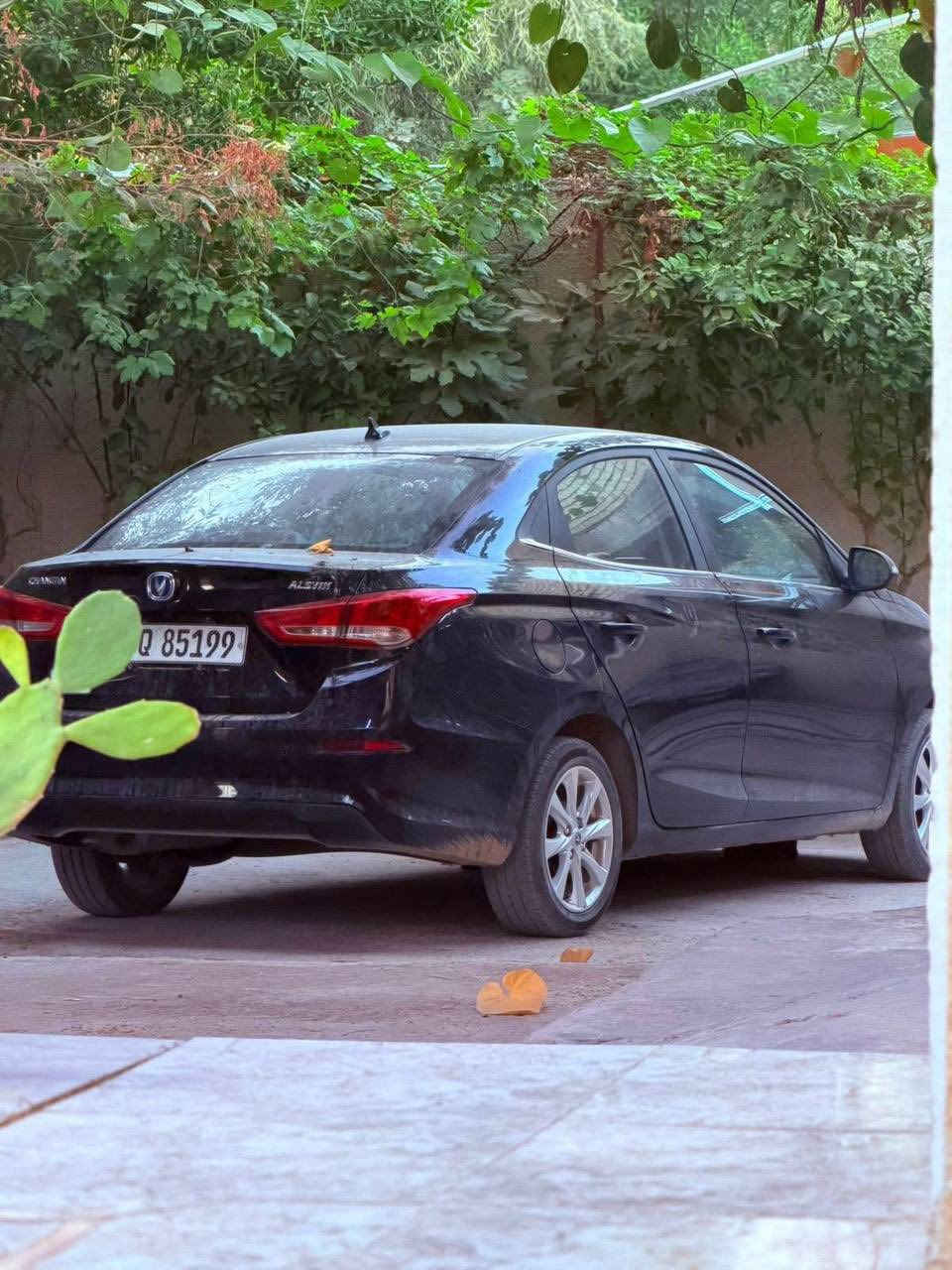 للبيع شانجان L7 موديل 2025 ✅

سعرها ادخل ع رابط https://t.me/carssofiraq/15258

 ماشية 7 آلاف سيارة حرة 
ما مطلوبة للشركة
فول مكفولة 
مكان السيارة بغداد 
رقم ***********
.
.
🚗اعرض سيارتك ع اقوى قناة تلكرام للبيع و شراء سيارات ادخل ع رابط 
👇👇
https://t.me/carssofiraq
