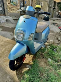 بوليسي كابريته • نظيفة • بسوق الشيوخ