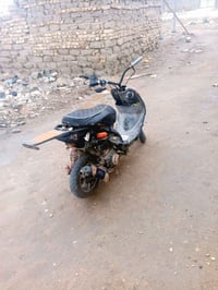 ماكس منغولي • بوشة ٥٥ • معدل