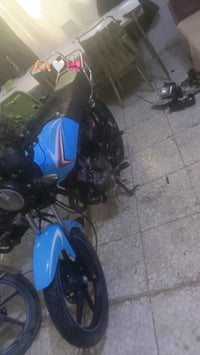 شاينك • ١٥٠ • ٢٠٢٣