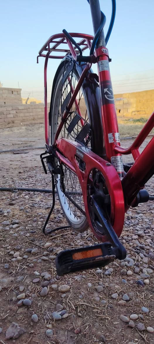 بايسكل للبيع
حجم🚲 بايسكل Charlotte 
النوع: بايسكل هايبرد/مدينة - مريح للاستخدام اليومي
الماركة: Charlotte 
اللون: أحمر 
الحالة: نظيف جداً، مابي شغل، جاهز للركوب
المواصفات: حامل خلفي حديد قوي + حماية جنزير كاملة + بوري + رفاريف
الإطار: مقاس 26 - تايرات بحالة جيدة
مكينه تبديل خلفي شيمانو
***********
