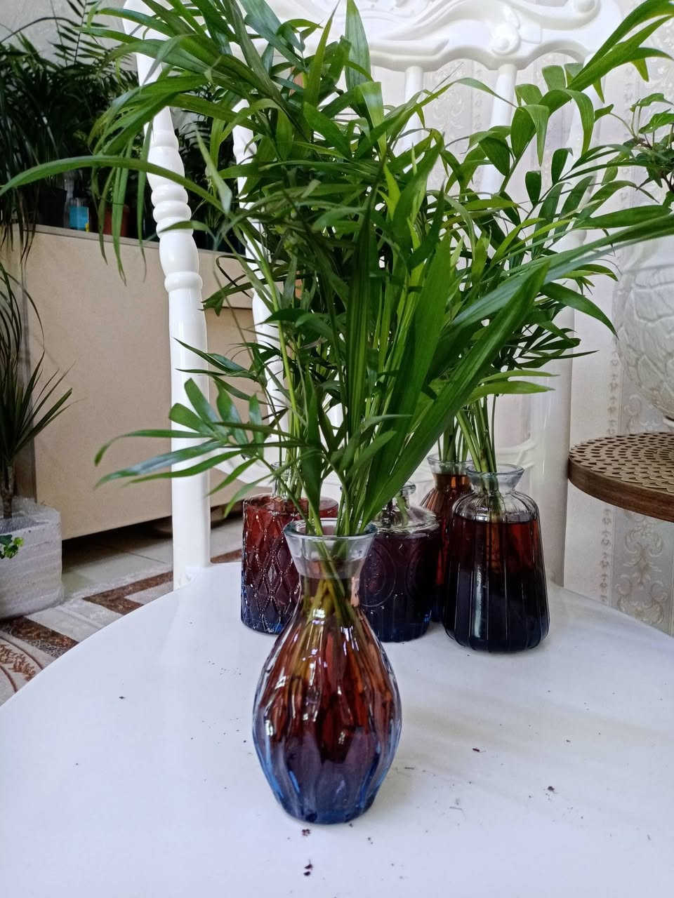 زرع طبيعي ماءي قاروره زرع بلتربه سعر حسب حجم كبير


**إذا كنت صاحب هذا الإعلان وتريد حذفه لأي سبب، رجاءا أرسل رسالة إلى الدعم الفني**