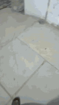 بيت خلفي مساحته 100 متر مع الممر يحتوي على هول مع غرفة منام ومطبخ ومجموعة صيحات الموقع الكمالية شارع الجامع فرع مقابل المدارس خلف شارع المحافظ للاتصال واتساب ***********
