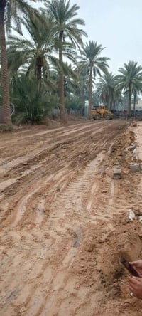 نص دونم • سند • واجهة 17م