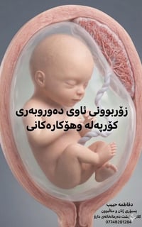 زيادة ماي الجنين • TTTS توائم • استشارة حمل