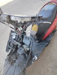 درجه ثعلب للبيع  السعر 350 وبيه مجال  المكينا بلاد بغداد العطيفيه 0770...