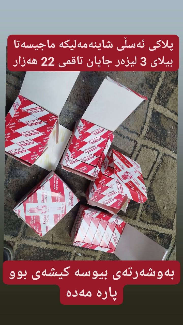 ئەشایی شاهینە خوارهەموو بازار وانەبوو لیی کەم کەرۆ بەدڵی خۆت شوین کەلار گەیاندن 3 هەزار هەمو عیراق رەقم ***********
