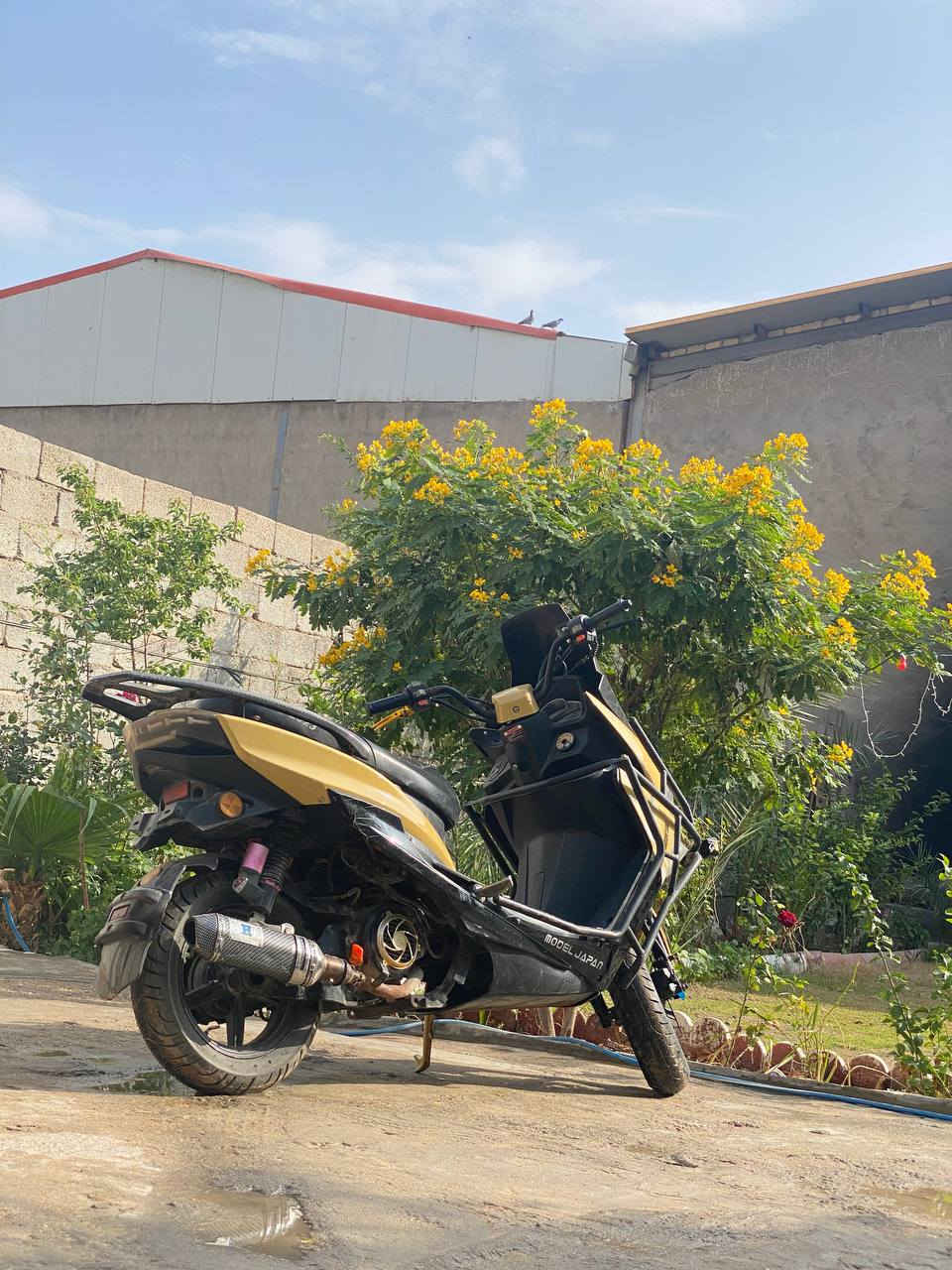 سلام عليكم دراجة سترونك xmax مزوده للمرارس بفورزه دراجة نضيفة وعلى وضع الوكالة بلاديه محرك كلجات كله بلادي مكاني كربلاء واتساب ***********
